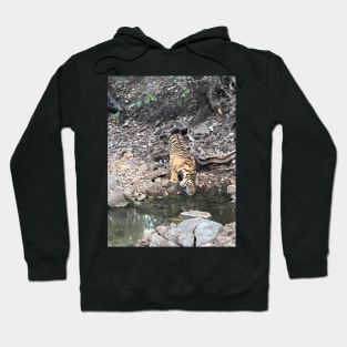 Tiger 4 Hoodie